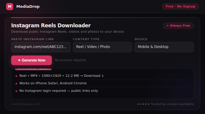 Instagram Reels Downloader tool screenshot