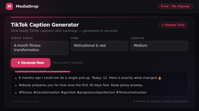 TikTok Caption Generator tool screenshot