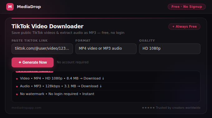 TikTok Video Downloader tool screenshot